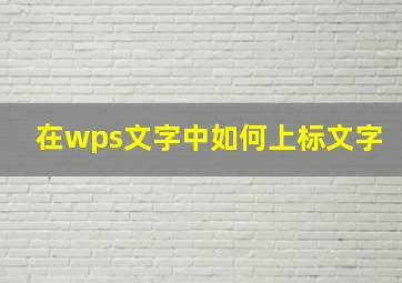 在wps文字中如何上标文字