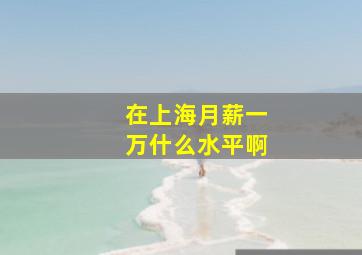 在上海月薪一万什么水平啊