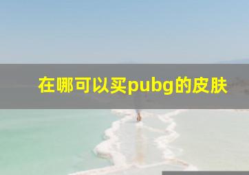 在哪可以买pubg的皮肤