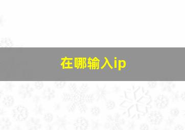 在哪输入ip