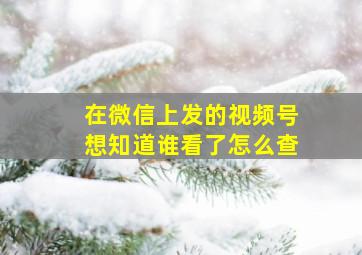 在微信上发的视频号想知道谁看了怎么查