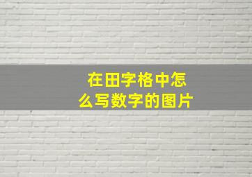 在田字格中怎么写数字的图片