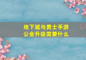 地下城与勇士手游公会升级需要什么