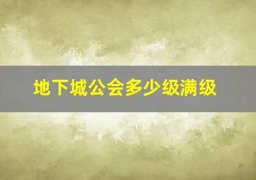 地下城公会多少级满级