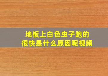 地板上白色虫子跑的很快是什么原因呢视频