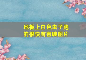 地板上白色虫子跑的很快有害嘛图片