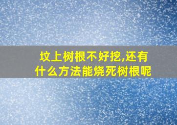 坟上树根不好挖,还有什么方法能烧死树根呢