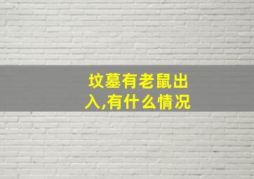 坟墓有老鼠出入,有什么情况