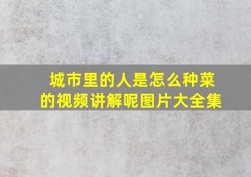 城市里的人是怎么种菜的视频讲解呢图片大全集