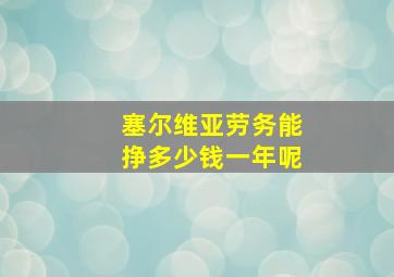 塞尔维亚劳务能挣多少钱一年呢