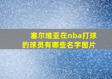 塞尔维亚在nba打球的球员有哪些名字图片