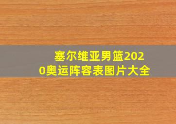 塞尔维亚男篮2020奥运阵容表图片大全