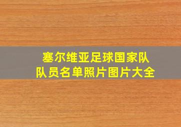 塞尔维亚足球国家队队员名单照片图片大全