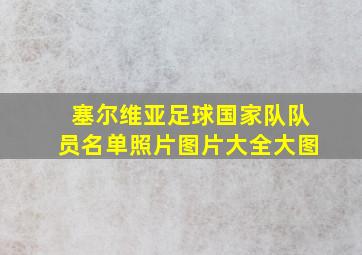 塞尔维亚足球国家队队员名单照片图片大全大图