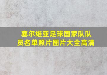 塞尔维亚足球国家队队员名单照片图片大全高清