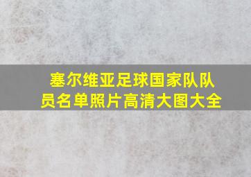 塞尔维亚足球国家队队员名单照片高清大图大全