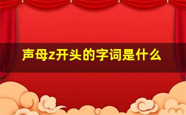 声母z开头的字词是什么