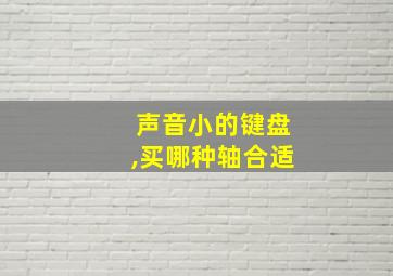 声音小的键盘,买哪种轴合适