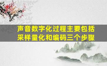 声音数字化过程主要包括采样量化和编码三个步骤