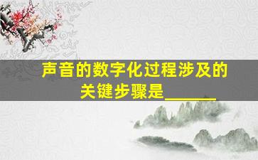 声音的数字化过程涉及的关键步骤是______