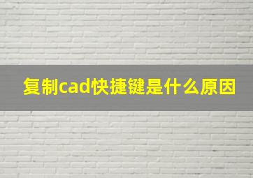 复制cad快捷键是什么原因