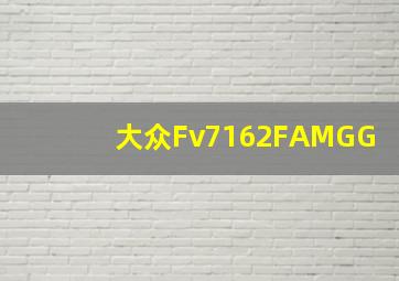 大众Fv7162FAMGG