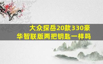 大众探岳20款330豪华智联版两把钥匙一样吗