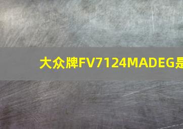 大众牌FV7124MADEG是