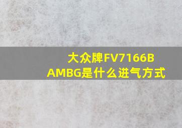 大众牌FV7166BAMBG是什么进气方式