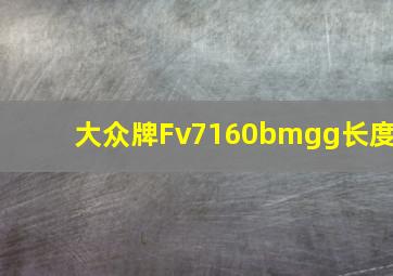 大众牌Fv7160bmgg长度