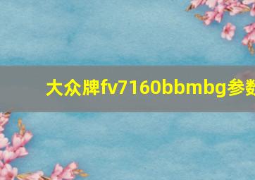 大众牌fv7160bbmbg参数