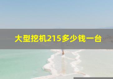 大型挖机215多少钱一台