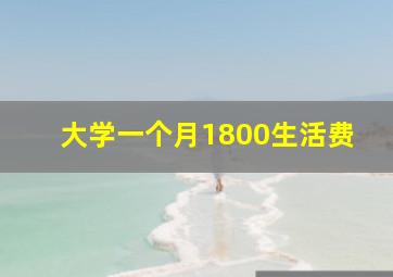 大学一个月1800生活费