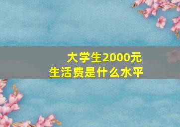 大学生2000元生活费是什么水平