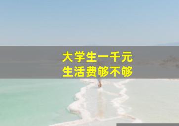 大学生一千元生活费够不够