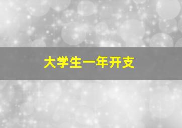 大学生一年开支