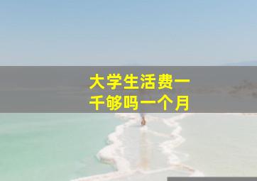 大学生活费一千够吗一个月