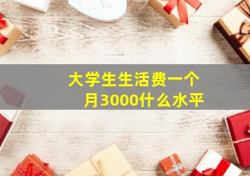 大学生生活费一个月3000什么水平