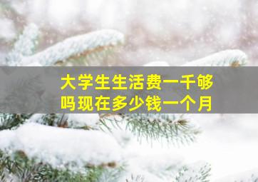 大学生生活费一千够吗现在多少钱一个月