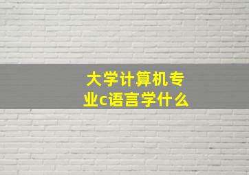 大学计算机专业c语言学什么