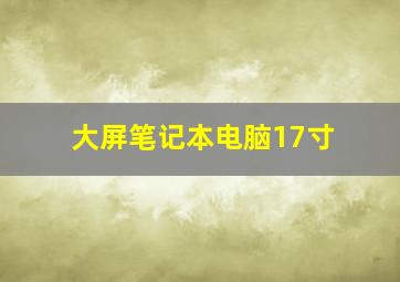 大屏笔记本电脑17寸