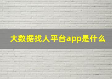 大数据找人平台app是什么