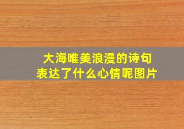 大海唯美浪漫的诗句表达了什么心情呢图片