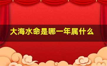 大海水命是哪一年属什么