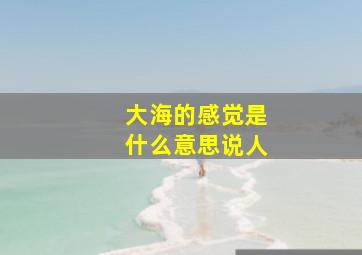 大海的感觉是什么意思说人