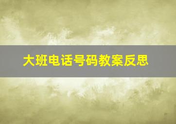 大班电话号码教案反思