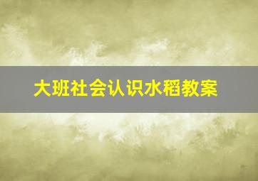 大班社会认识水稻教案