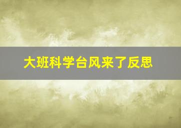 大班科学台风来了反思