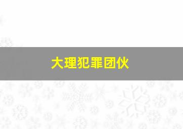 大理犯罪团伙