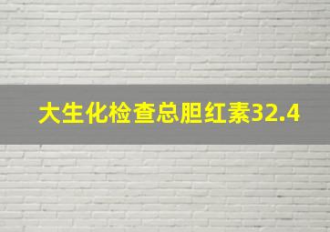 大生化检查总胆红素32.4